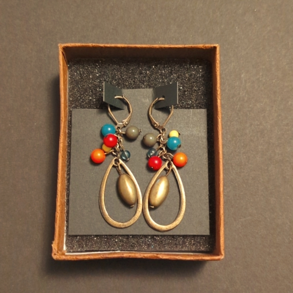 Multicolored Pierced Ear Earrings